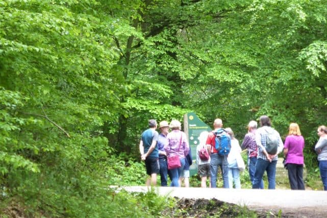 Teilnehmergruppe Gruppe der Teilnehmenden